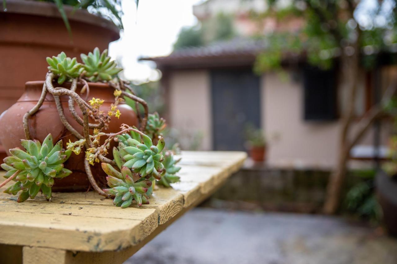 Suite Gli Ulivi Colonna Ngoại thất bức ảnh