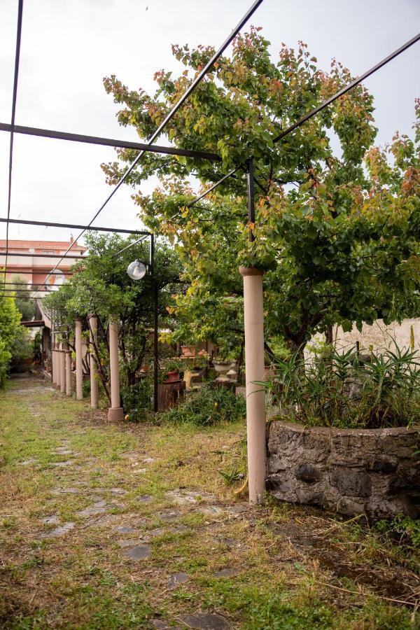 Suite Gli Ulivi Colonna Ngoại thất bức ảnh